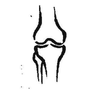 Articulation