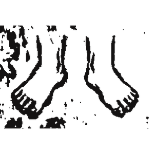 Pieds